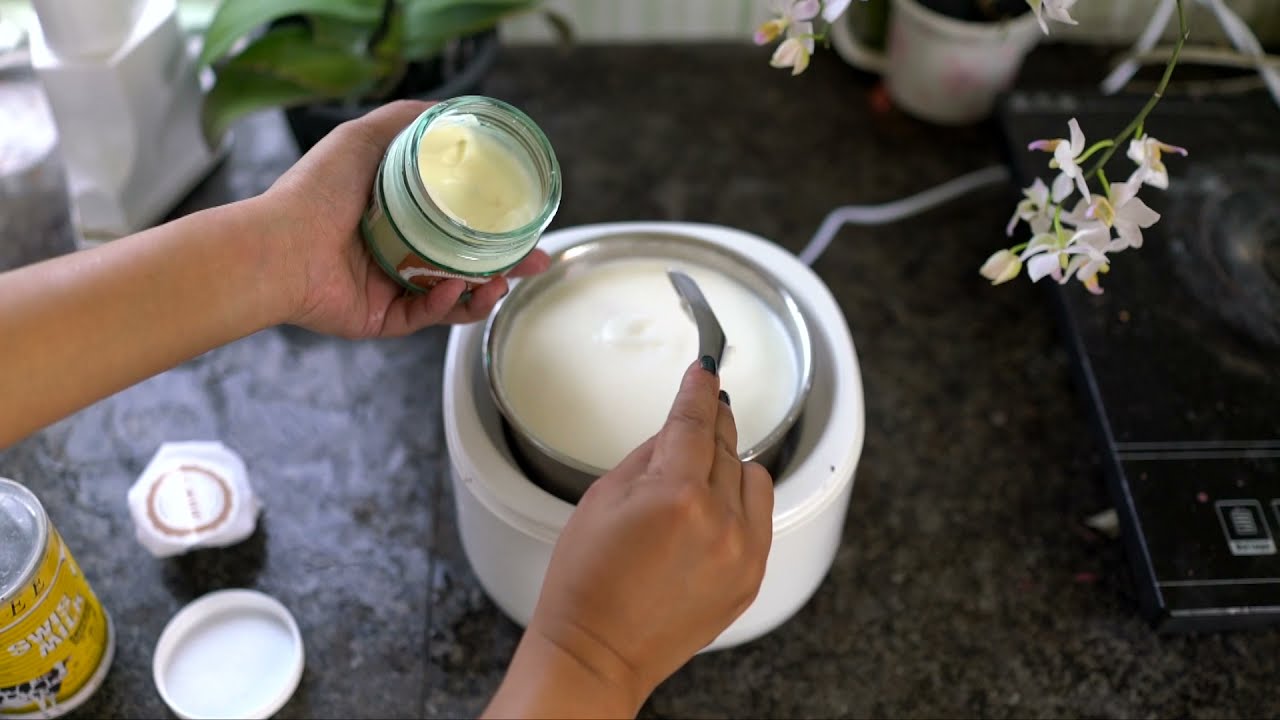 Home Made Yogurt