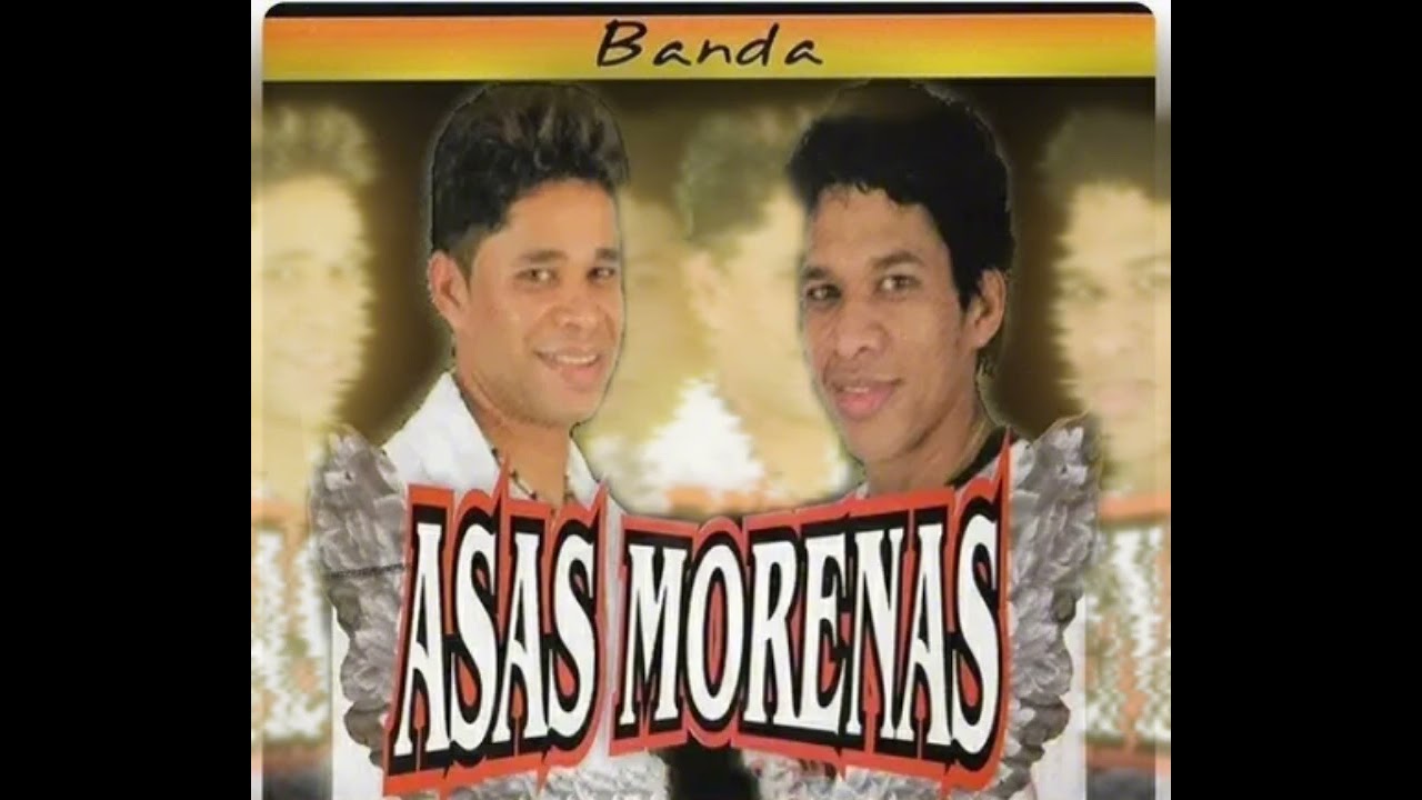 Asas morenas vol 1. Voando até vc