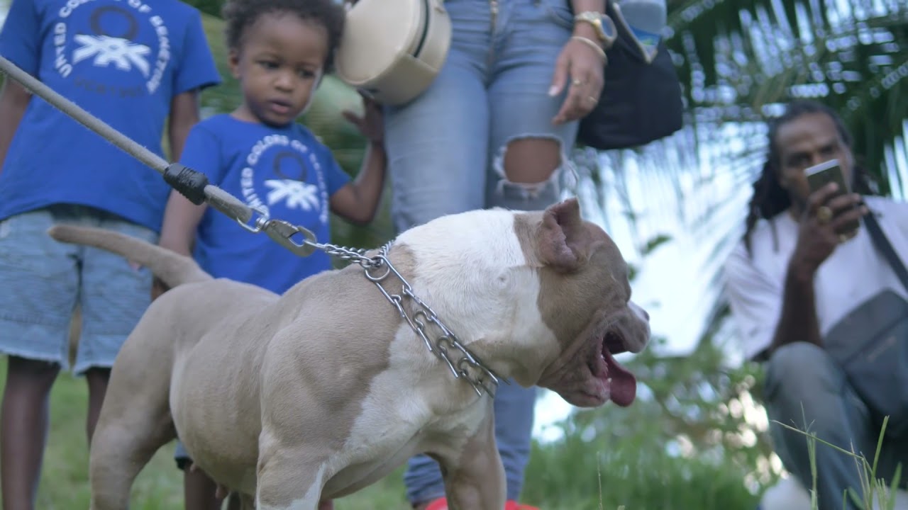 Réunion Bully Martinique 2021 {partie 1}