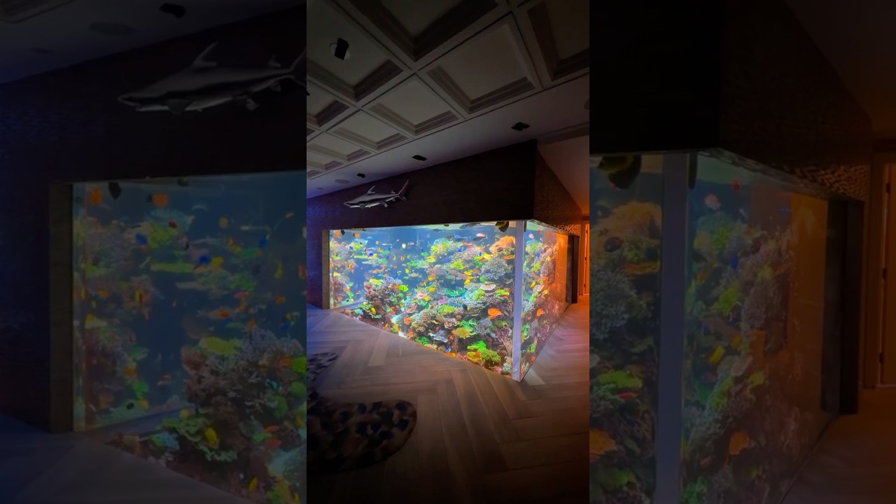 17,000 Gallon Reef Tank 🪸🐠
