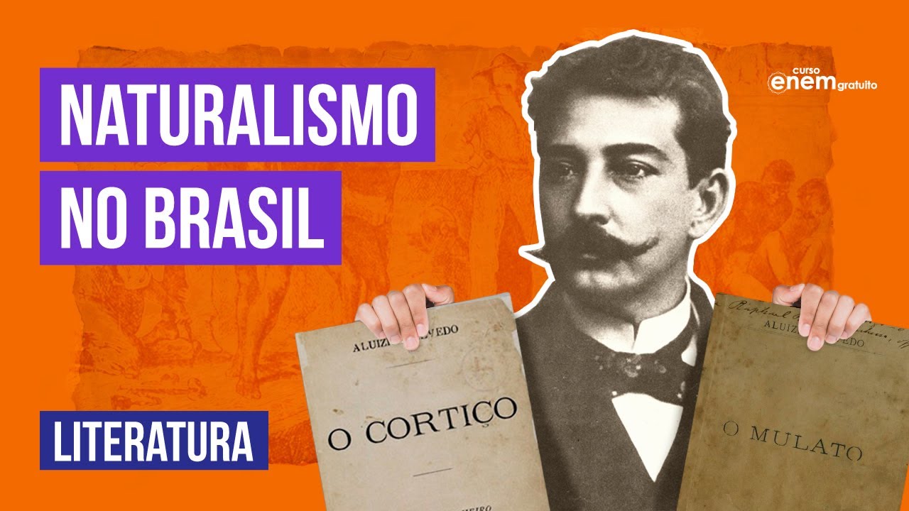 NATURALISMO NO BRASIL: o que &eacute;, como surgiu e caracter&iacute;sticas | Literatura Enem. Camila Brambilla
