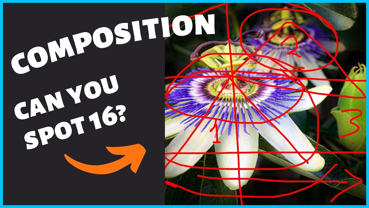 LIVE: 16 compositional techniques in 1 flower photo!