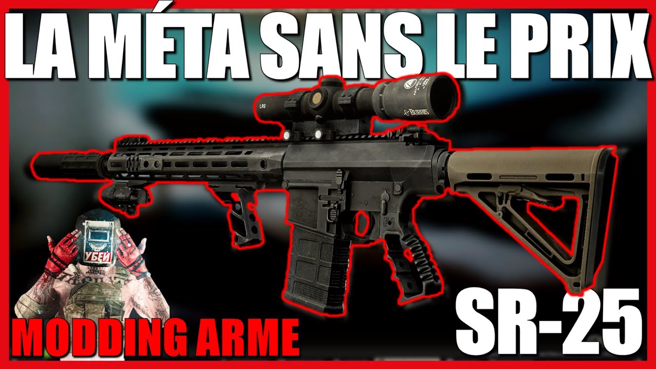 SR-25 - Modding / Configuration + Gameplay Tarkov Fr