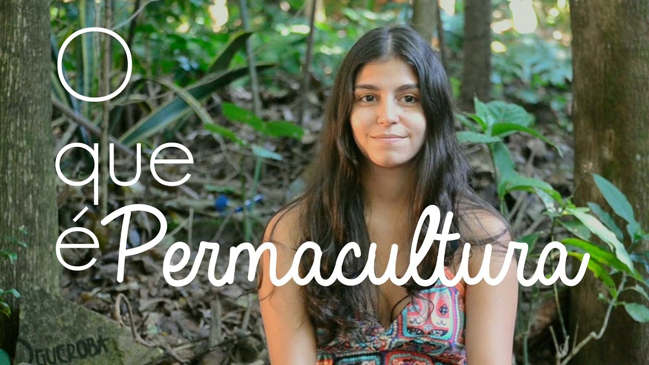 Descubra o que é permacultura e como ela vai mudar sua vida