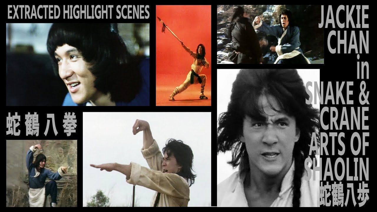 『蛇鶴八拳』 JACKIE CHAN in SNAKE & CRANE ARTS OF SHAOLIN EXTRACTED HIGHLIGHT SCENES　蛇鶴八歩