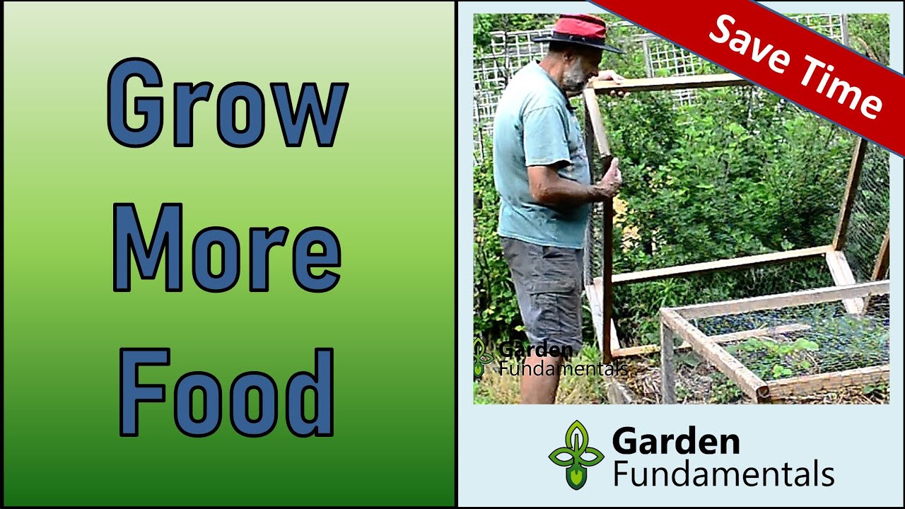 Secret Tips for Higher Vegetable Yields 🍅🥬️🥦🌽 Less Work and More Food