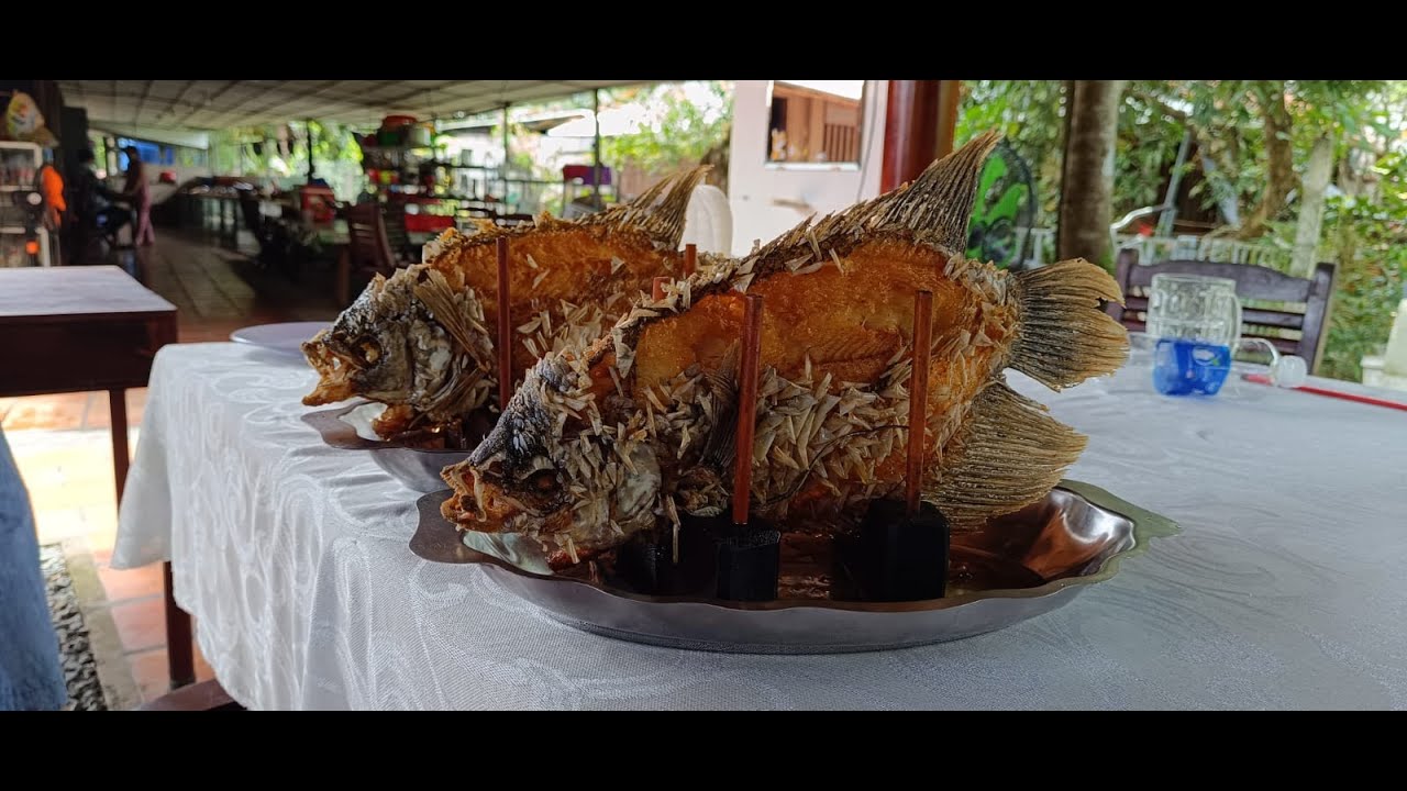 #  51 En direct de Nga Nam, pourquoi j'ai choisi de m'installer au Cambodge et pas au Vietnam. 5