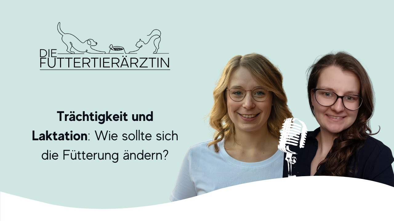 Trächtigkeit und Laktation: Wie sollte sich die Fütterung ändern?