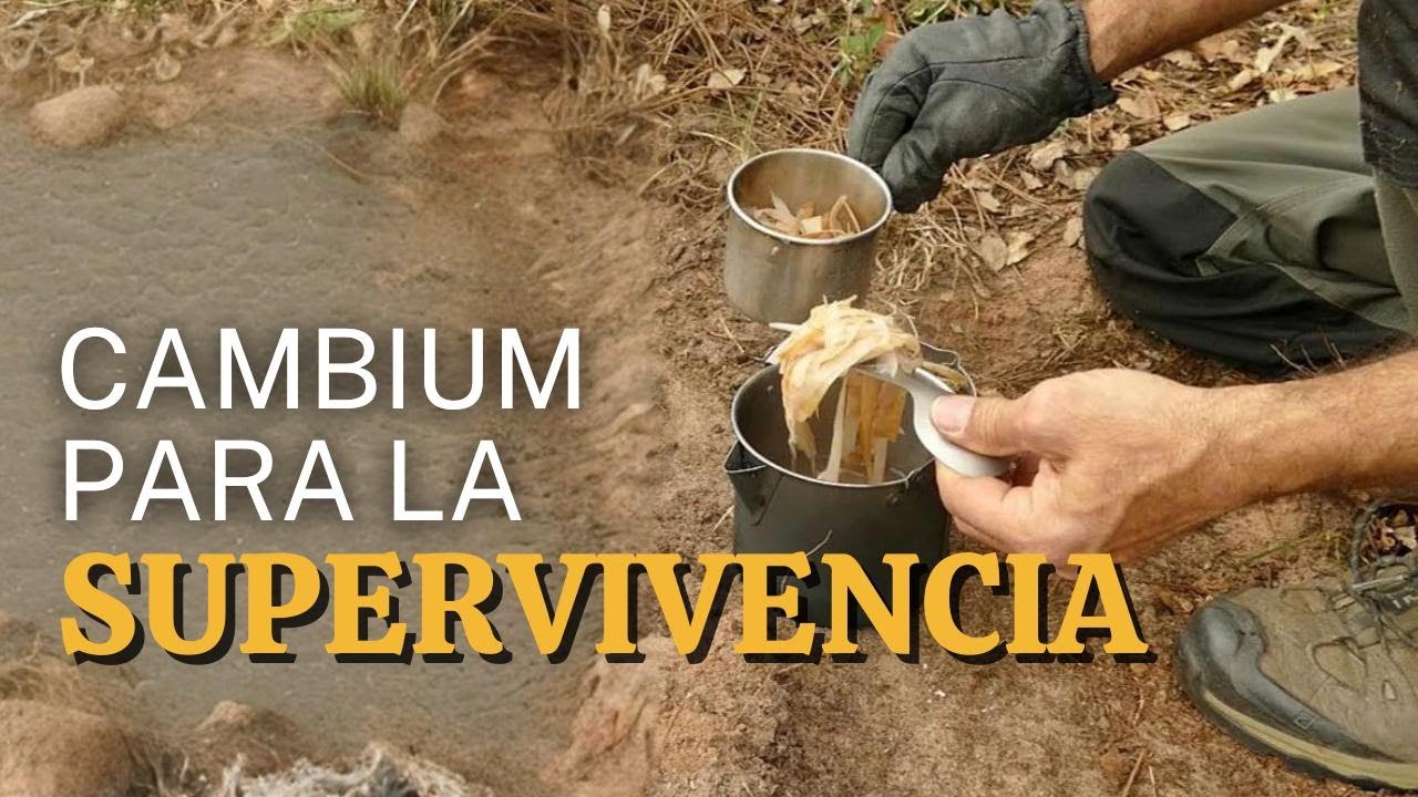 Aprende a nunca pasar hambre con esta técnica.