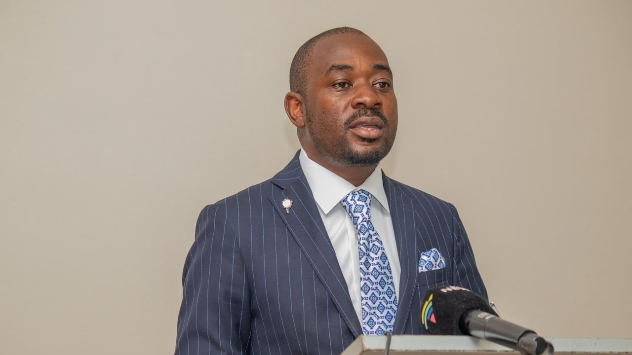 The impact of Nelson Chamisa on ZANU PF ongoing factionalism.