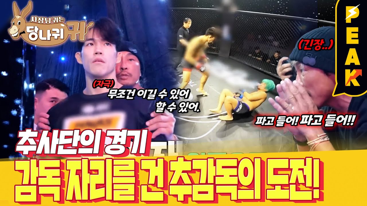 [#피크타임] 1라운드 안에 KO 못할 시 감독 은퇴?! 추성훈 사단의 AFC 29 출전기 | #사장님귀는당나귀귀 | KBS 240114 방송
