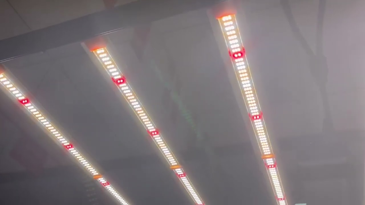 LED Grow Light #ledgrowlights #ledlights