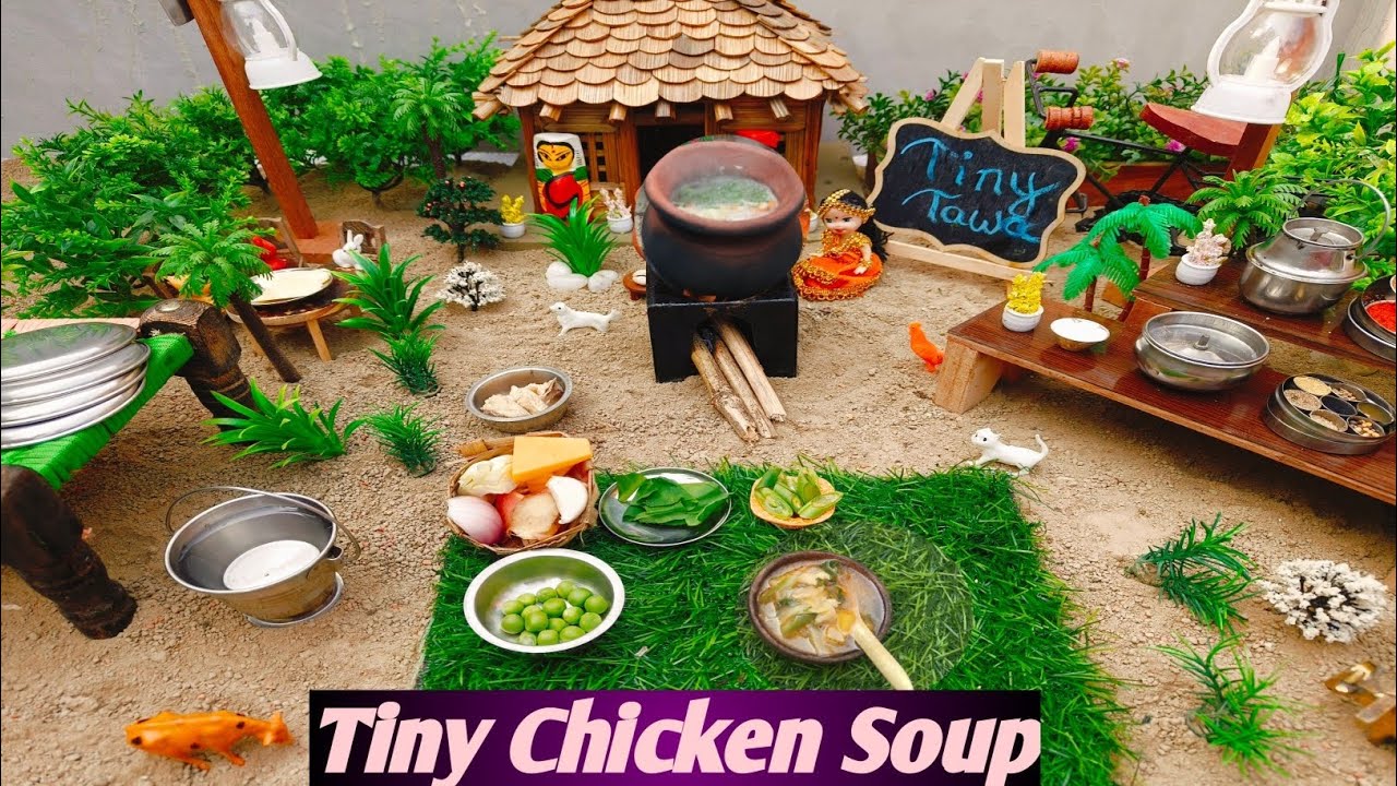 Miniature Chicken Soup ll Chicken Soup Making Unique Style ll Tiny Kitchen ll Tiny Tawa 