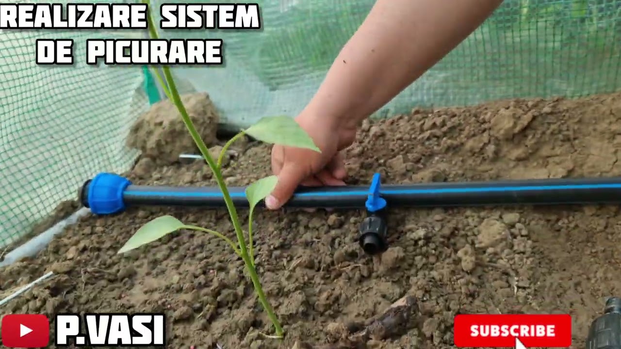SOLAR DE GRĂDINĂ - PLANTARE + REALIZARE SISTEM DE PICURARE