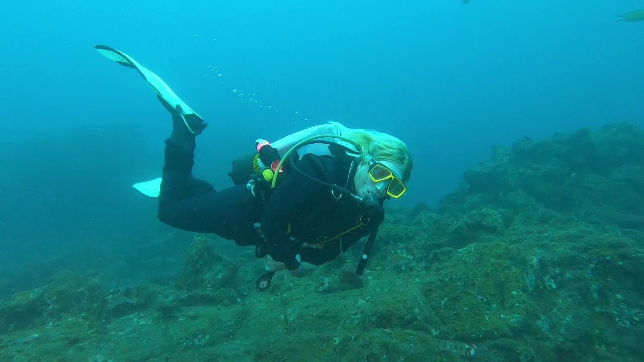 The best diving in Gran Canaria, today we dive in Tufia beach, is 25 minutes from our Diving Center