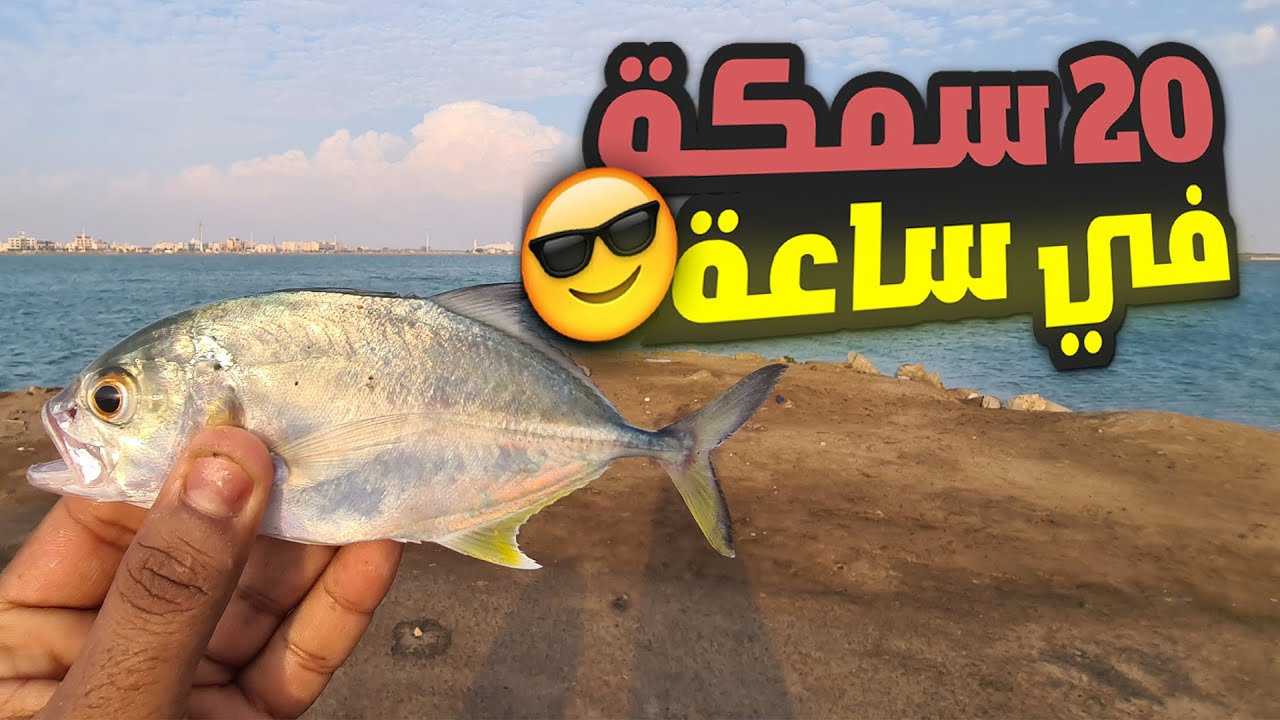رحلة صيد السمك في الرايس السعودية(تحدي مع ماهر والصيد ممتاز ماشاءالله)🎣🐟😎👍😍