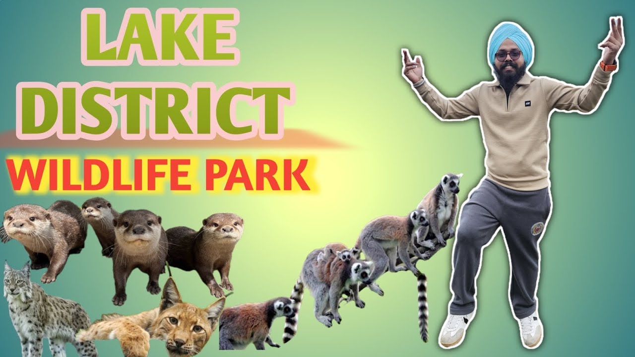 Lake district wildlife park ਲੇਕ ਡਿਸਟਰਿਕਟ ਚਿੜੀਆ ਘਰ