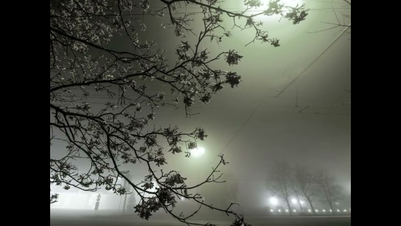 the fog won't forgive you