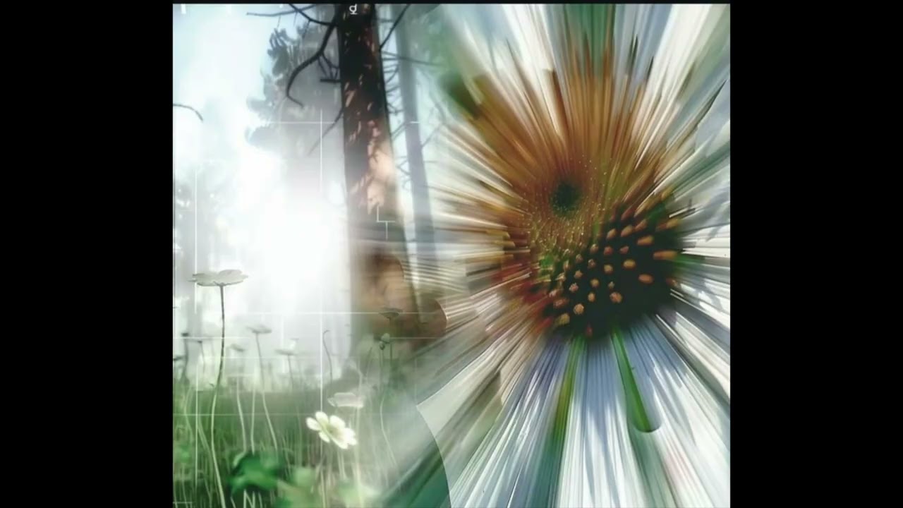 alt rock ✣ heavy shoegaze instrumental - 