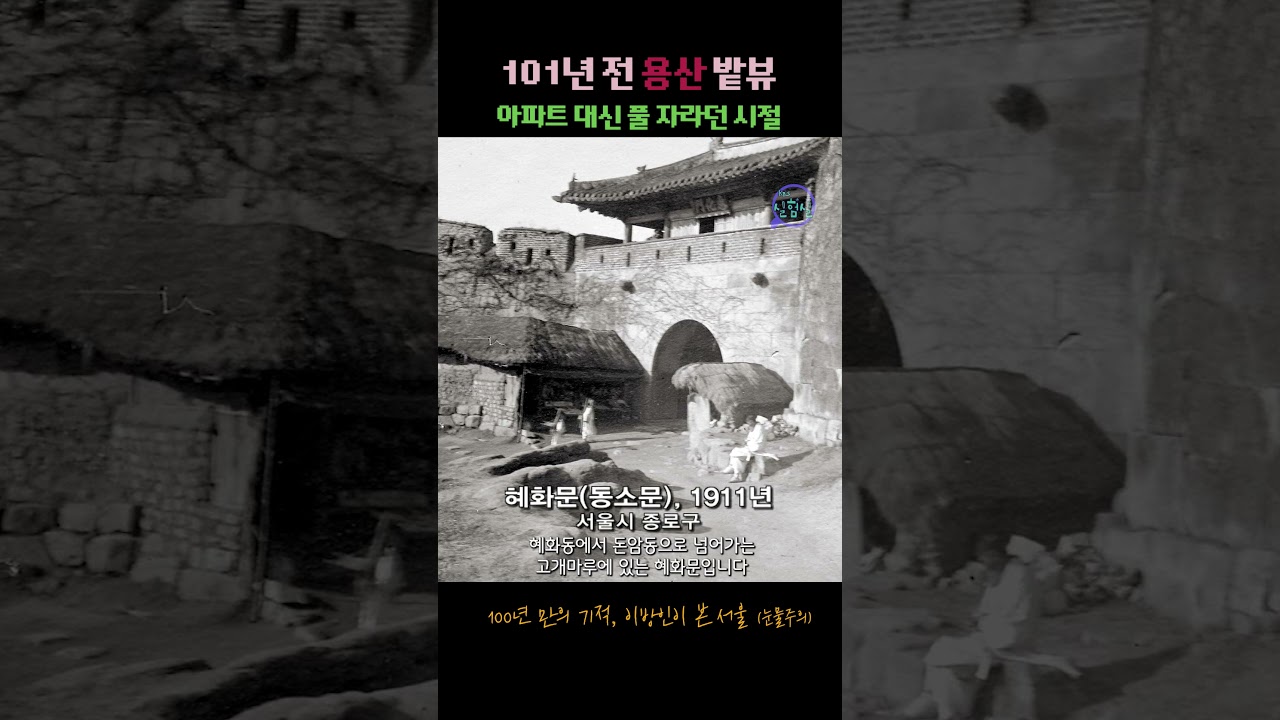 [#Shorts] 용산과 종로에 아파트🏢 대신 풀🌿이 자라던 시절, 이게 진짜 우리가 살던 서울? 100년 만의 기적 (눈물주의) | KBS 20100221 방송