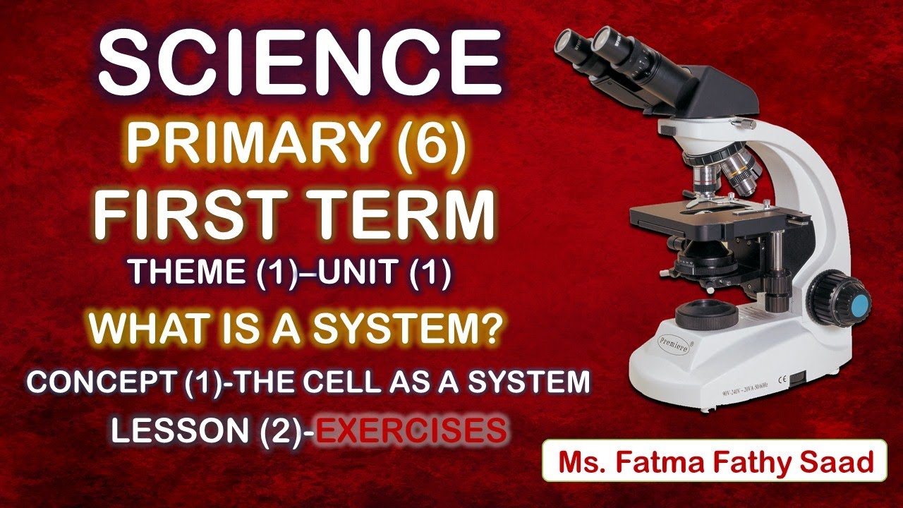 Science -Primary 6- first term- unit 1-Concept 1-Lesson  2-Exercises