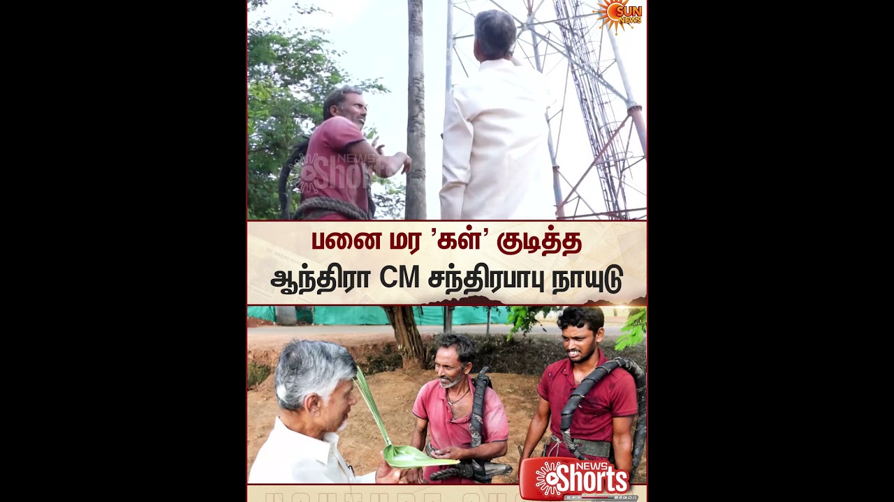 Andhra Pradesh | CM Chandrababu Naidu | Toddy | Sun News