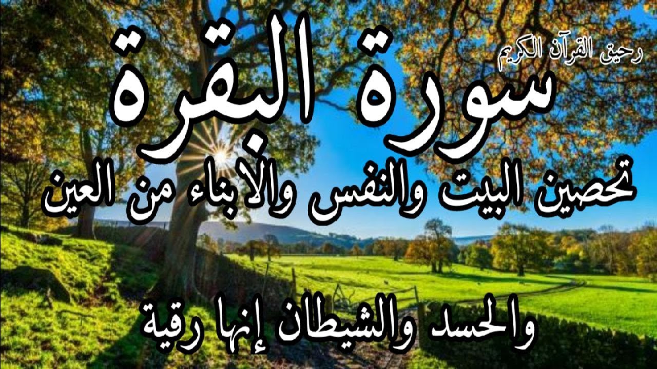 سورة البقرة لحفظ وتحصين المنزل وجلب البركة من أروع التلاواتSourah Baqara