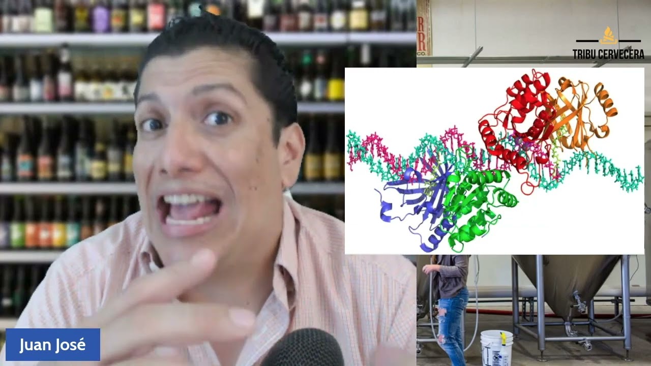 C&oacute;mo las Enzimas pueden hacer una mejor Cerveza