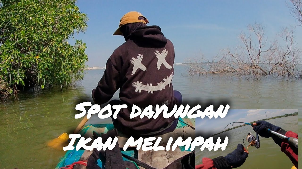 Nggak nyangka mancing dayungan segacor ini ‼️spot muara sabetan ngebum kendal 