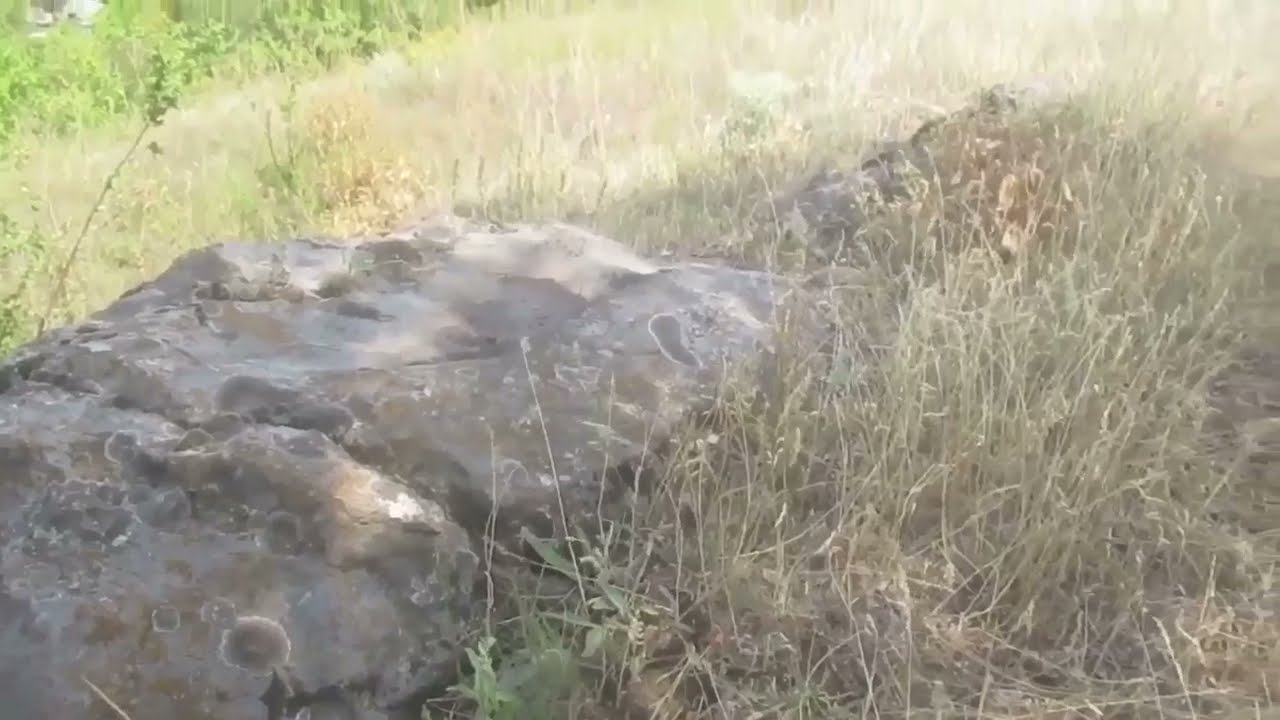 А.Чехов.Степь. Часть 4.