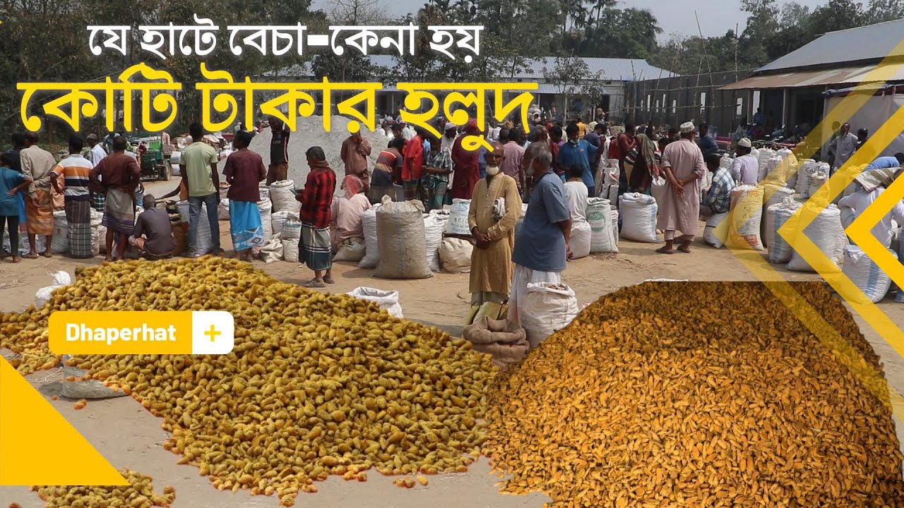 দেশের বৃহত্তম হলুদের হাট | The largest turmeric market in the country
