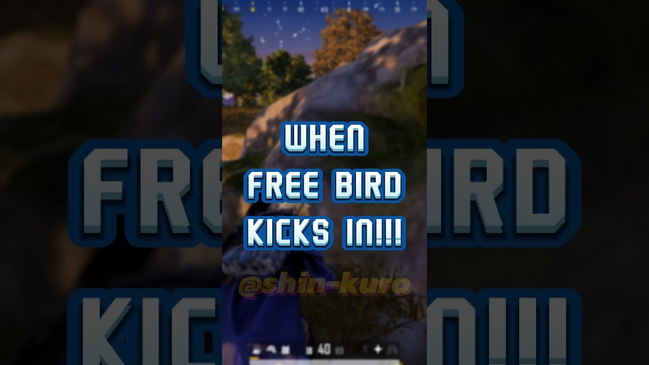 When Freebird Kicks In!!! 