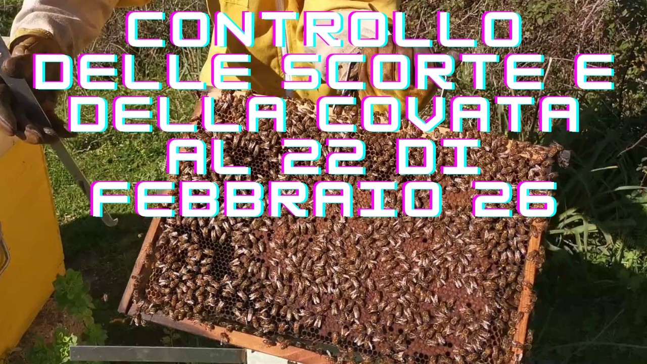 Controllo scorte e covata.