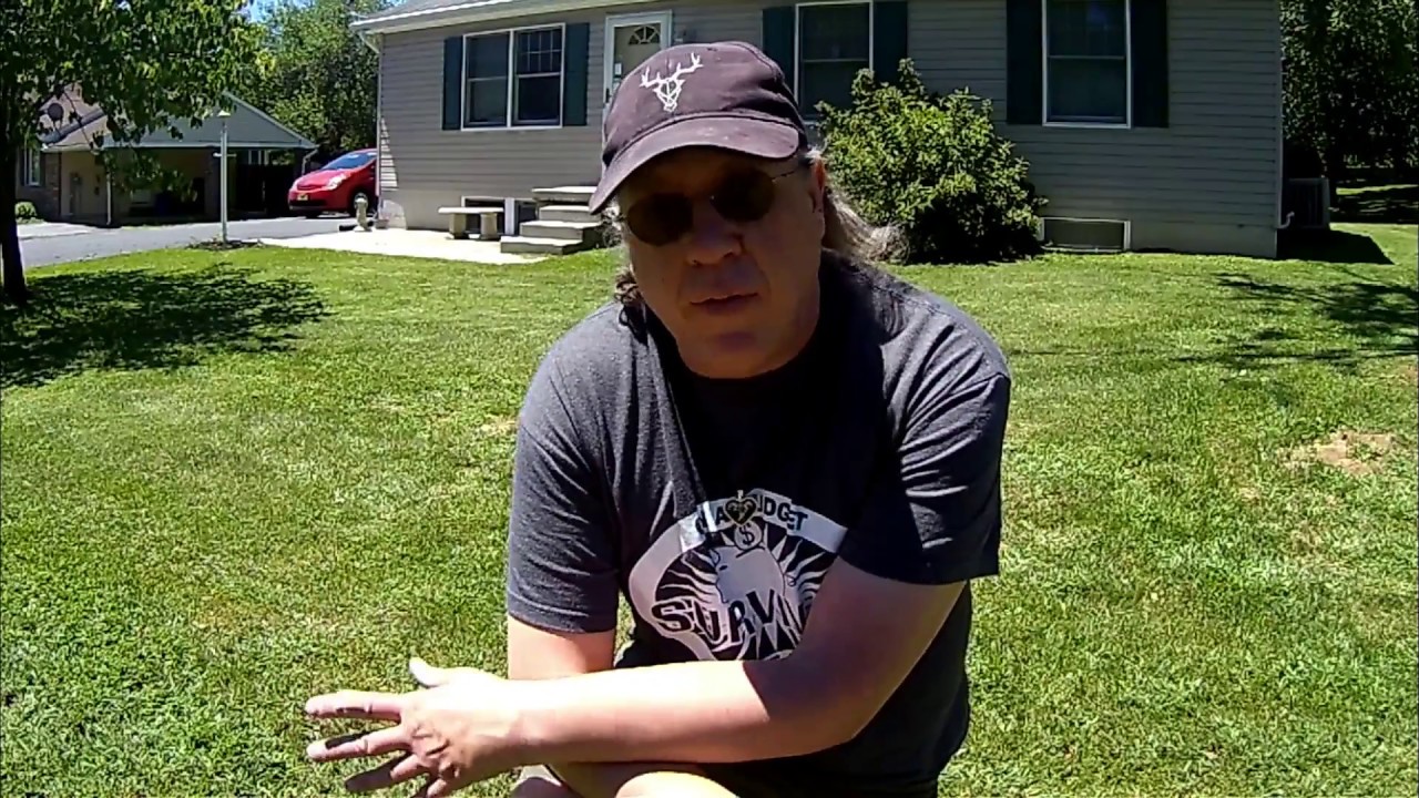 Gator Blades update (product reviews)