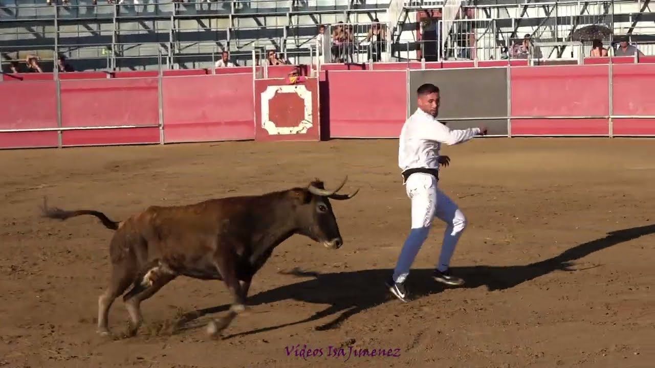 Casetas (Zaragoza) - 01/10/2023 - Casta Aragonesa - HD