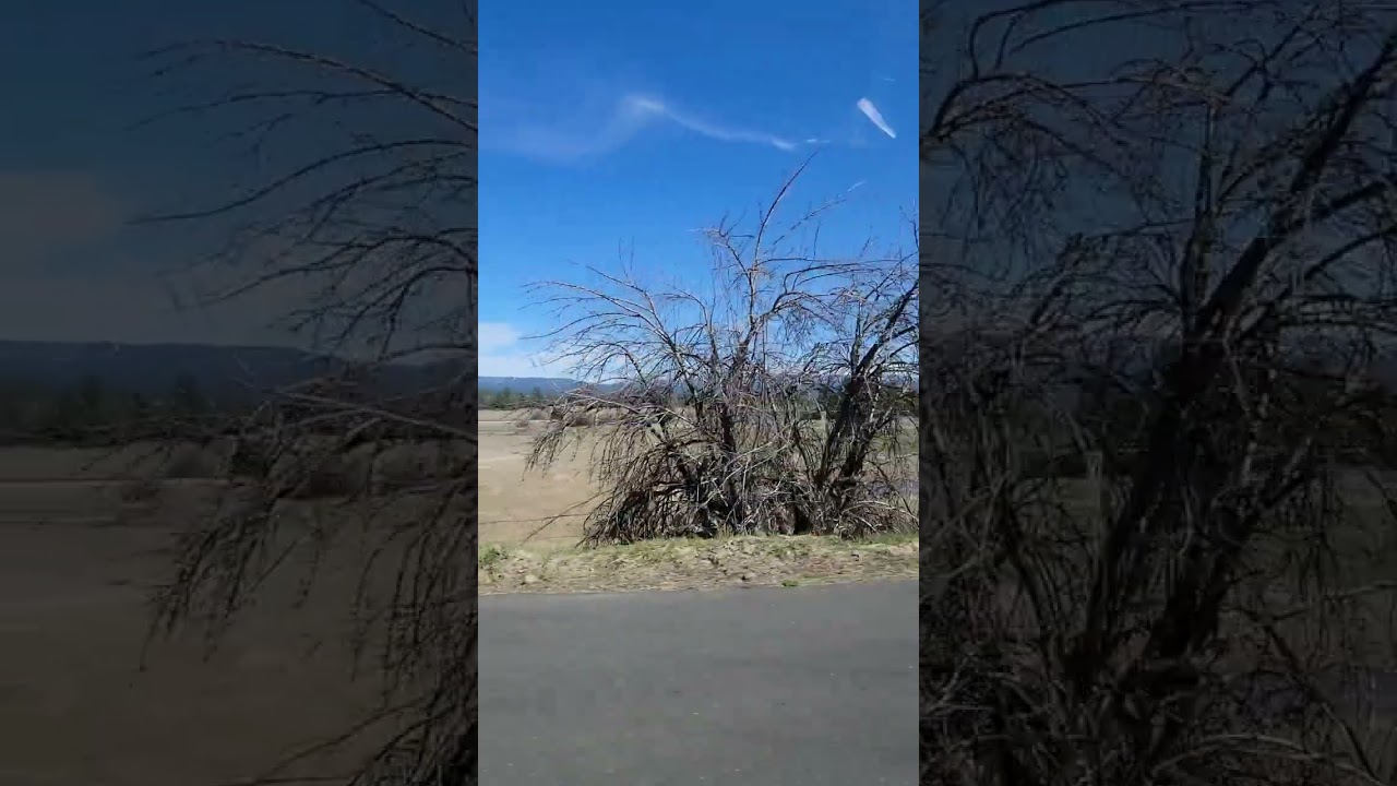 The Trip to Airbnb in Cascade ID