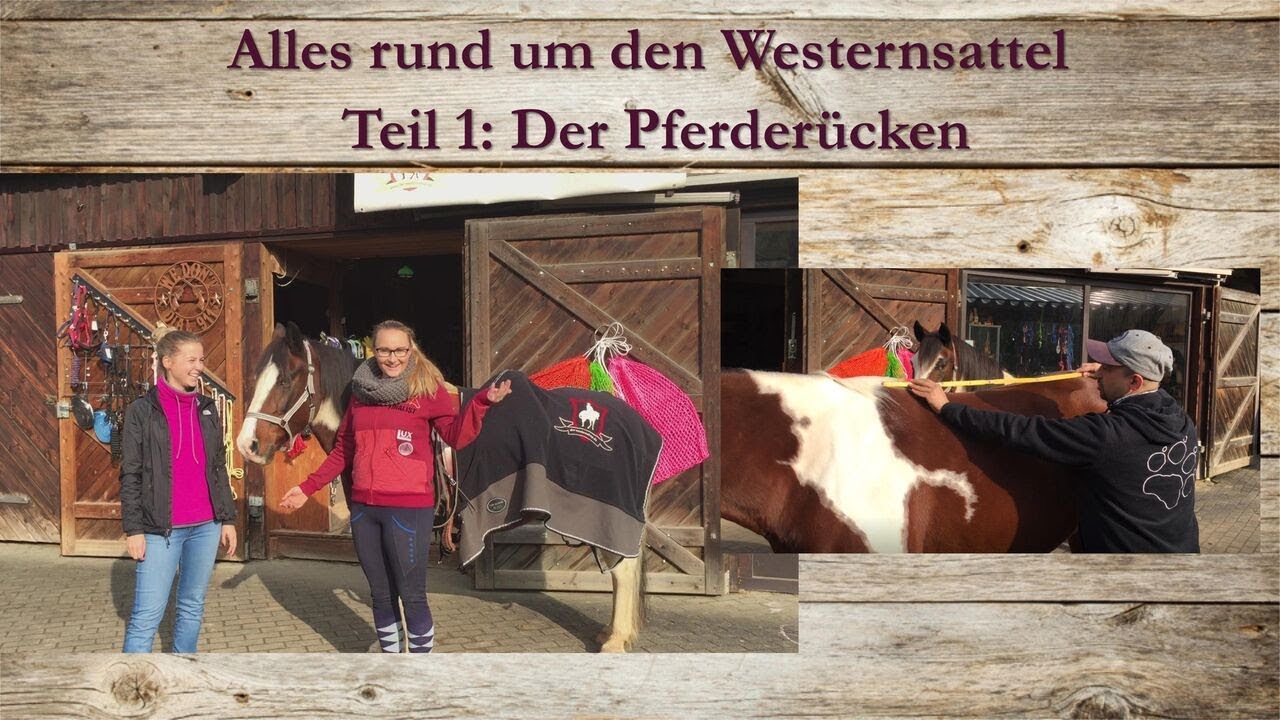 Alles rund um den Westernsattel - Teil 1: Der Pferderücken