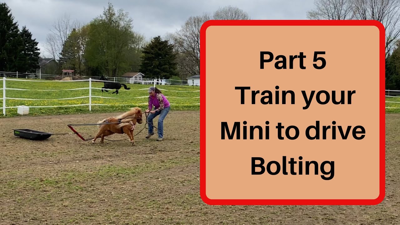 Part 5 - Train Your Mini to Drive - Bolting