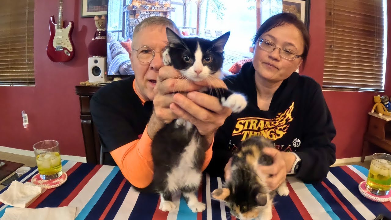 Little Caesars $5 Pizza Deal and Kittens Update - Eat With Us!