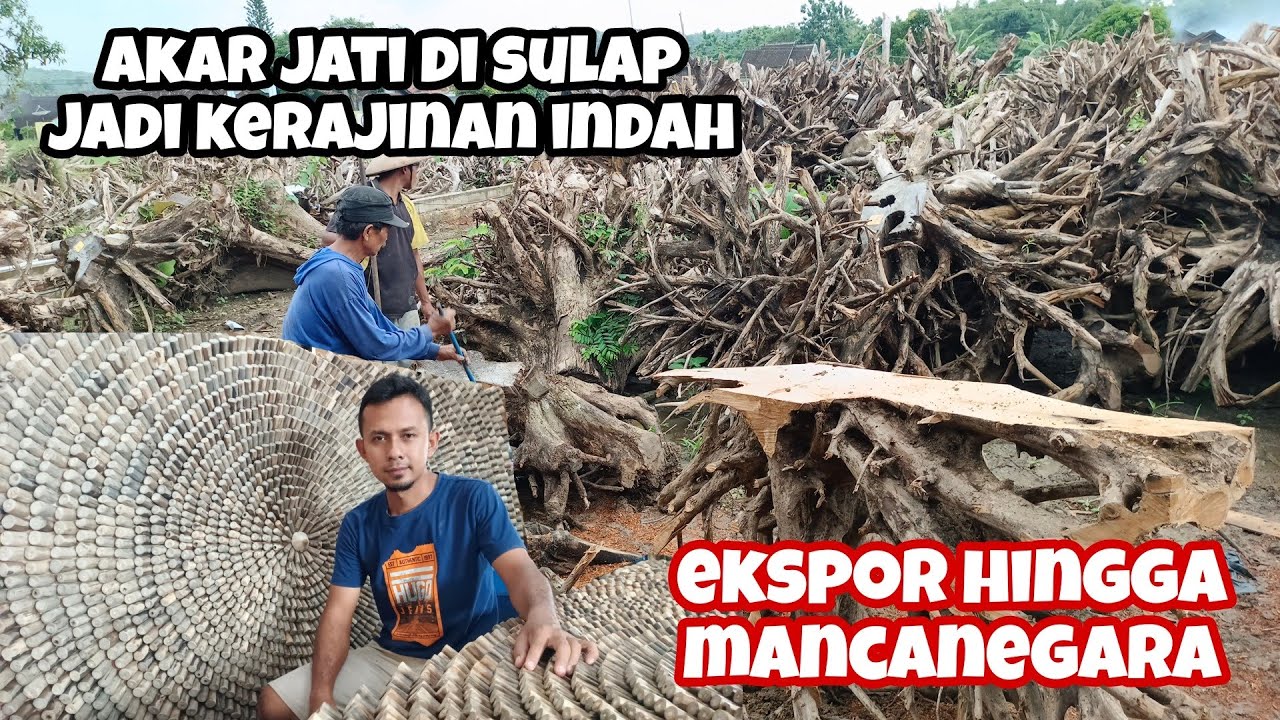 Dari Akar Jati Menjadi Kerajinan Berharga Jutaan Rupiah | Melihat Produksi Gembol Jati Desa Nglebur