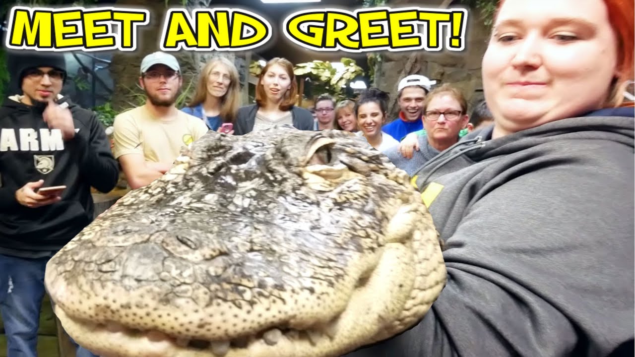 PET ALLIGATOR MEET and GREET!! HUGE LIZARD FEEDING!!! | BRIAN BARCZYK