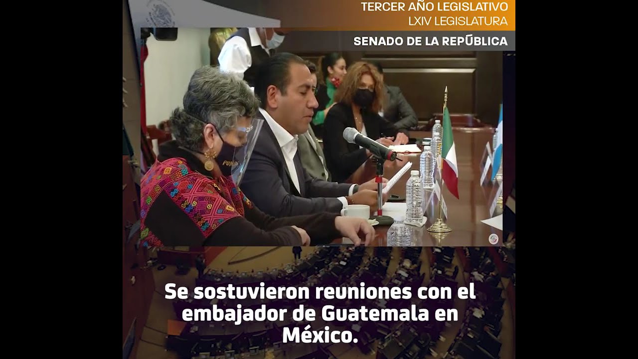 Senado en corto, del 19 al 23 de octubre de 2020