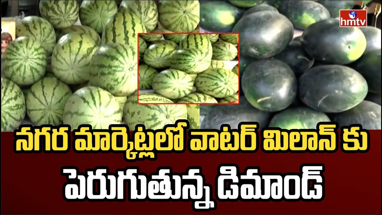 నగర మార్కెట్లలో వాటర్ మిలాన్‌ కు పెరుగుతున్న డిమాండ్ | Watermelon | Hyderabad Market | hmtv