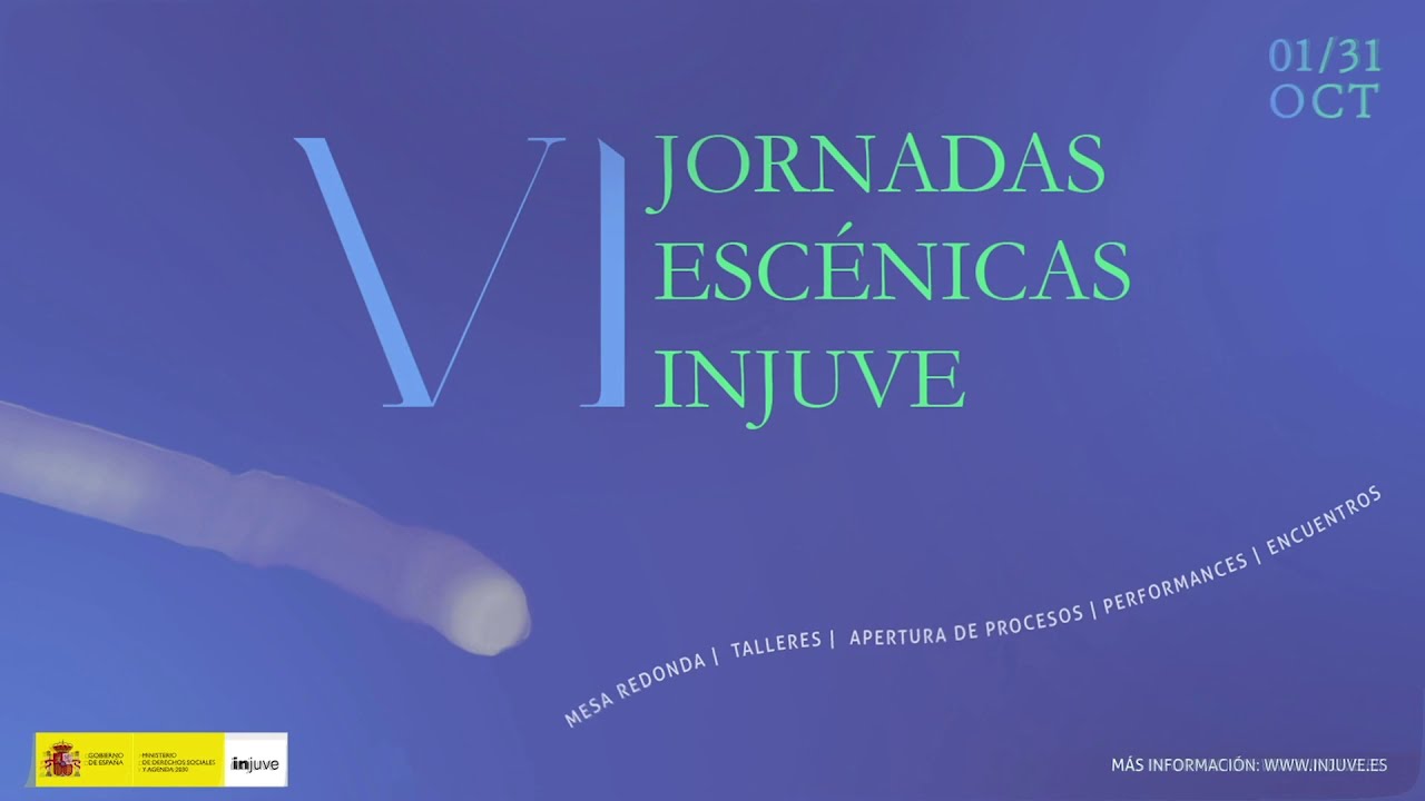 VI JORNADAS ESC&Eacute;NICAS INJUVE