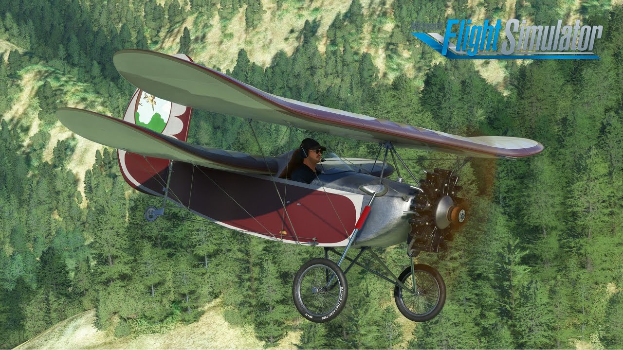 Rara-Avis Sims Flying Flea - The weirdest flying aircraft and I love it - Microsoft Flight Simulator