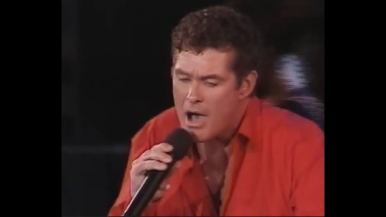 David Hasselhoff, Viña Festival 2001