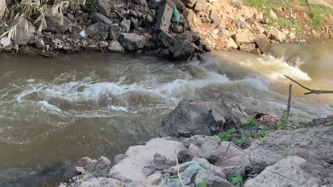 Soothing River Sounds | Pure Water Ambience for Relaxation and Sleep