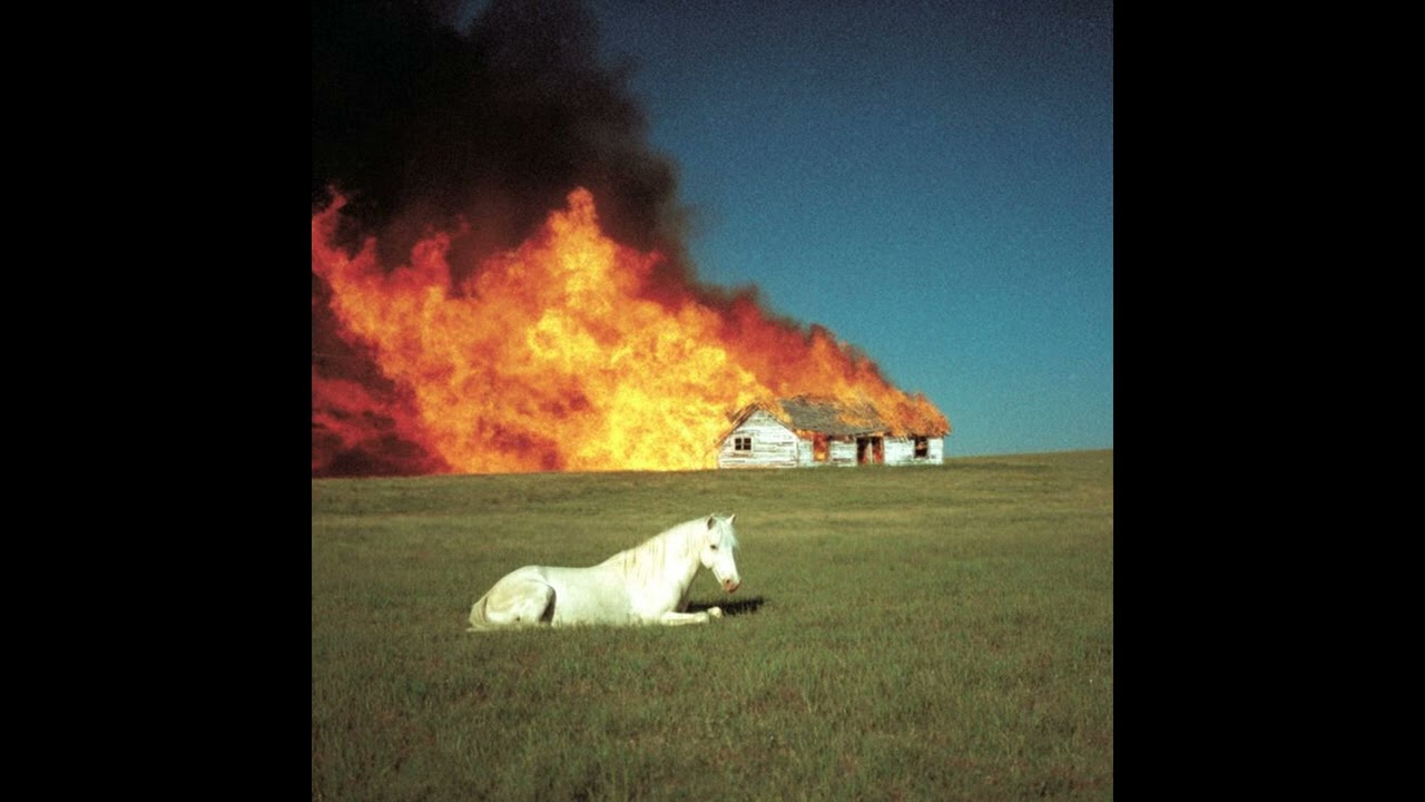 free xaviersobased x maajins type beat 'shining'