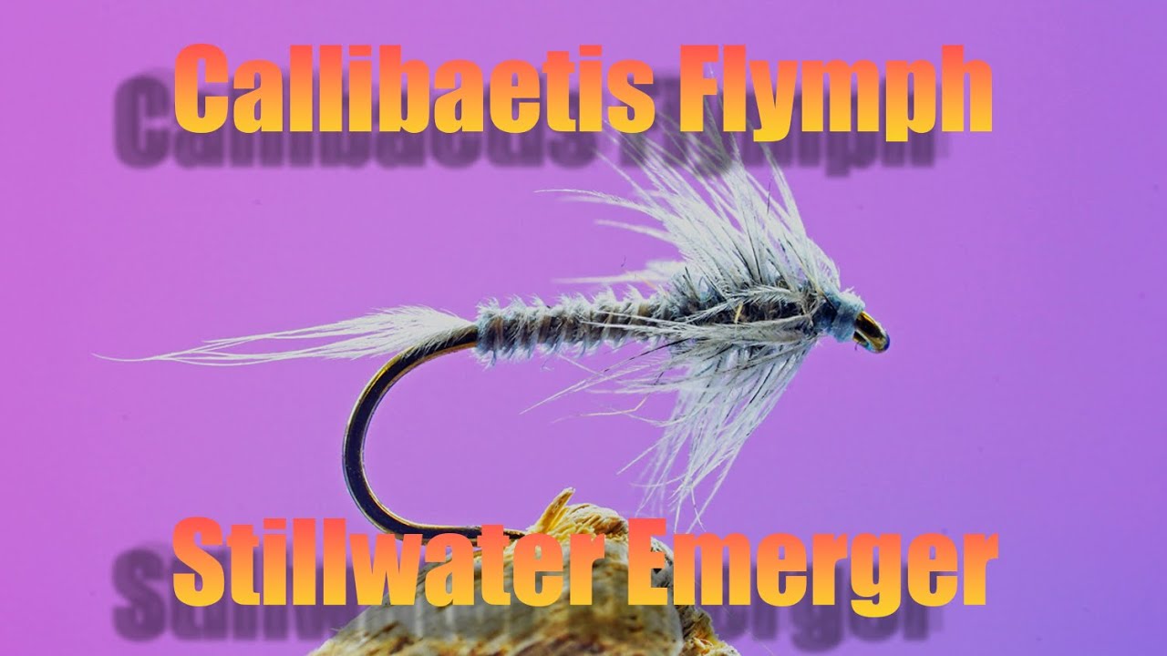 Try This Mayfly Emerger-How to Tie a Callibaetis Flymph
