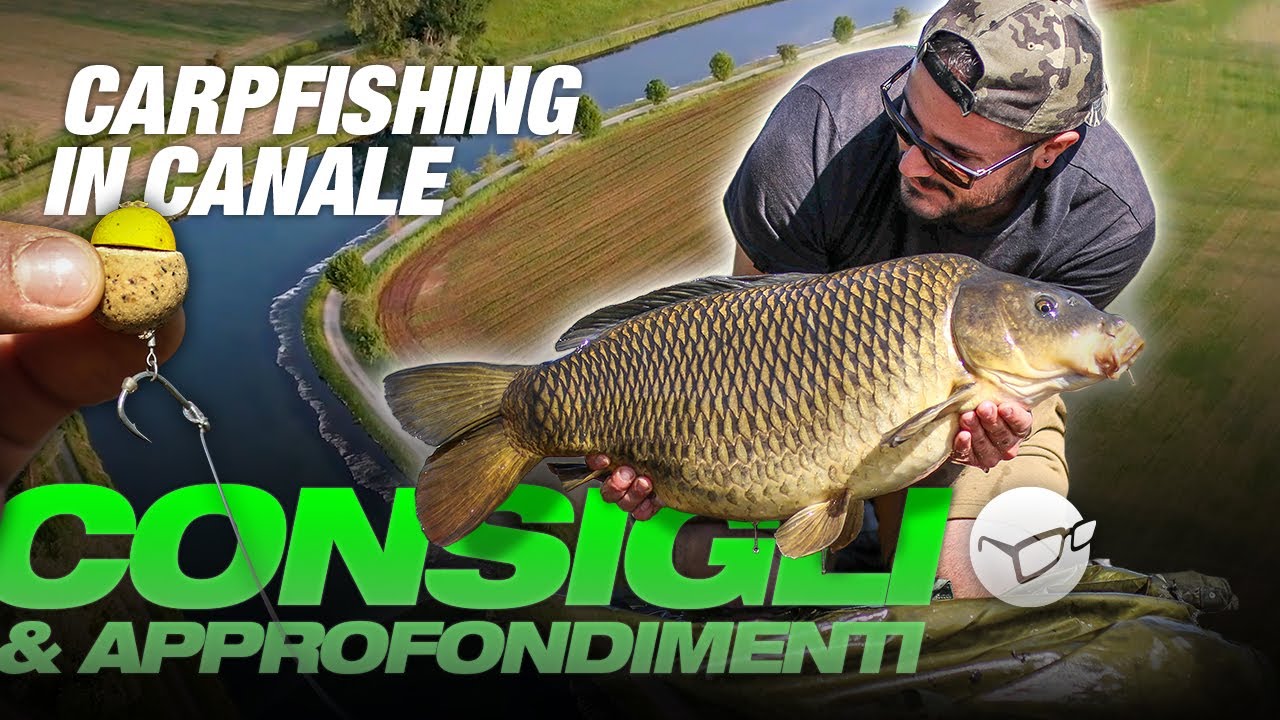💥 5 TOP TIPS per il carpfishing in CANALE 🚤 🌊  - Gianluca Leporini | Carpfishing